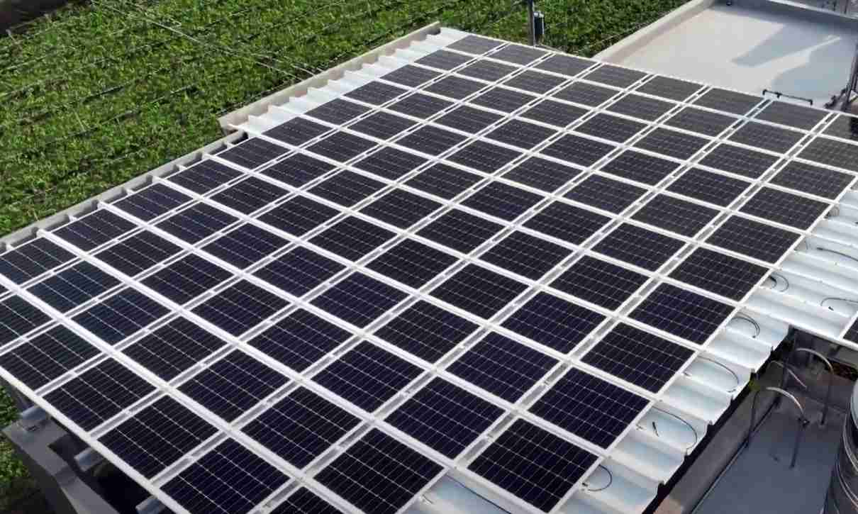 杏悦2SunSteel光电浪板升级双玻结构，，，以提升机械负载强度及气候耐候度，，，可广泛运用于多元场域