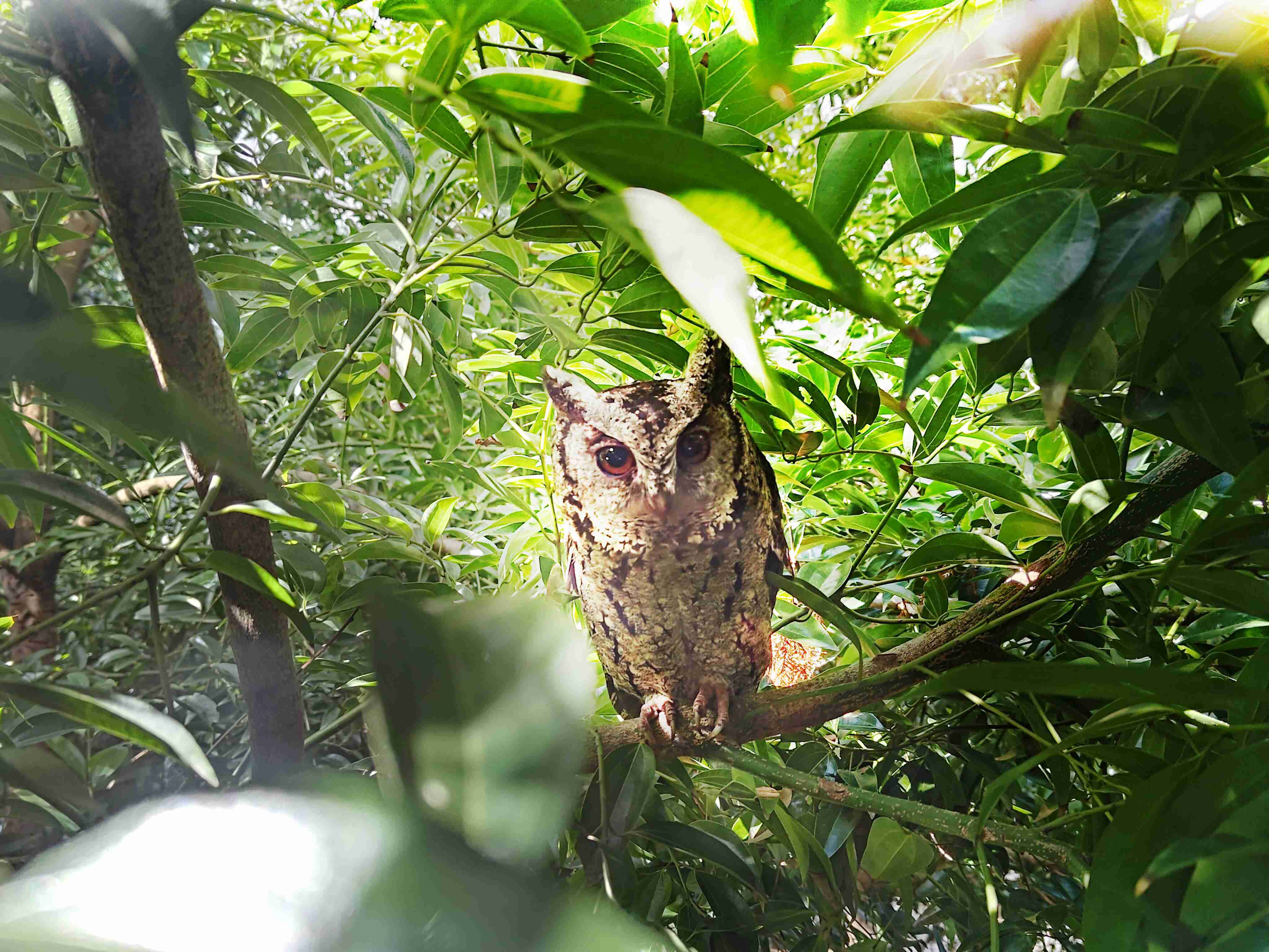 杏悦2致力提倡净零绿生活，，16年以来在全球各厂区植树逾百万棵，，，，造就各厂区树木蔚然成林，，，犹如森林工厂，，，，成为许多生物的栖息地